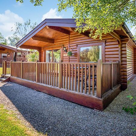 Whitestone Fingle Glen Lodges מראה חיצוני תמונה