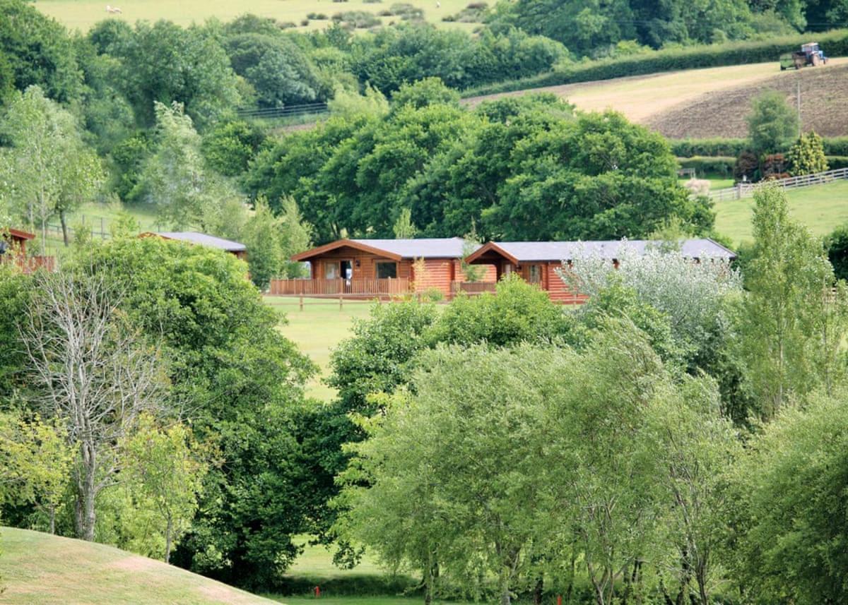 Whitestone Fingle Glen Lodges מראה חיצוני תמונה